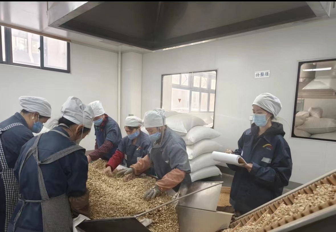 Qingdao Biohoer Biotech Co., Ltd.는 공식적으로 건설을 시작했습니다