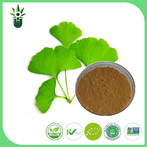 Ginkgo Biloba Leaf Extract는 어떤 증상을 사용하여 완화 할 수 있습니까?