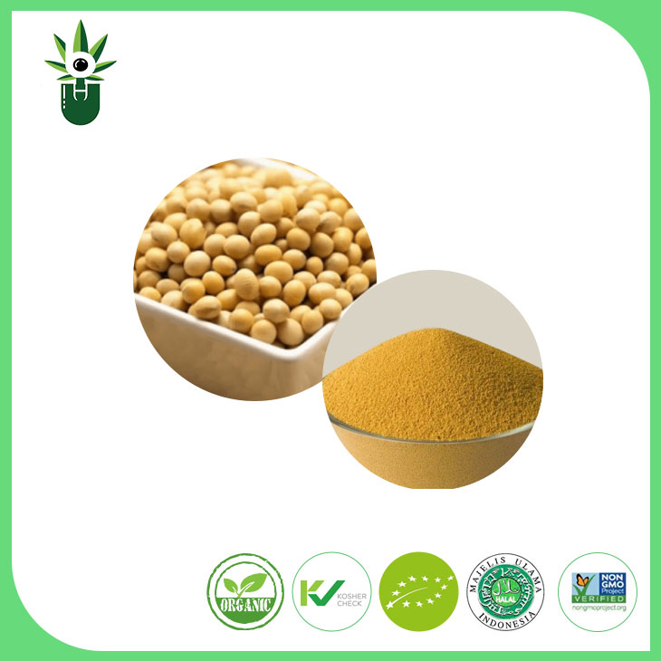 비 GMO 대두 추출물 분말 90% 대두 이소 플라본